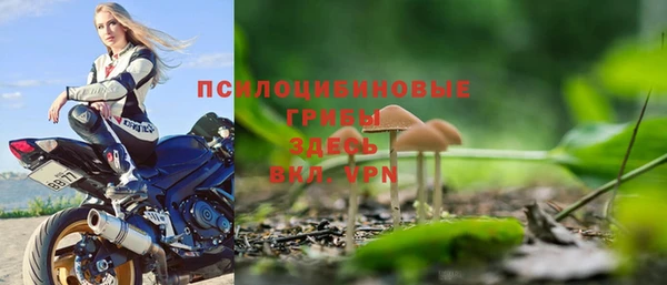прущий лед Арсеньев