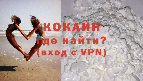 твердый Аркадак