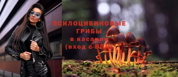прущая мука Армянск