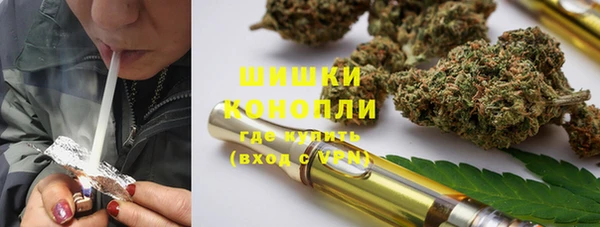 трава Снежногорск